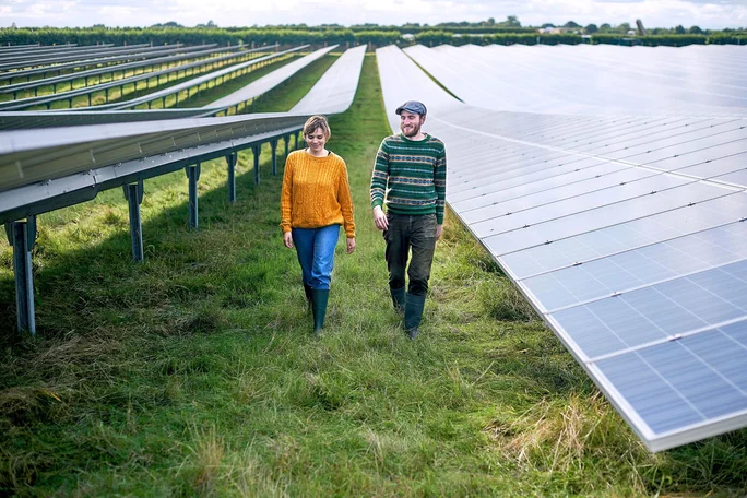 two people walking in a field full with solar panel system